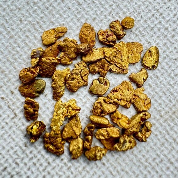 One Gold Nugget from California in Display Case - 0.05 grams - Picture 4 of 7